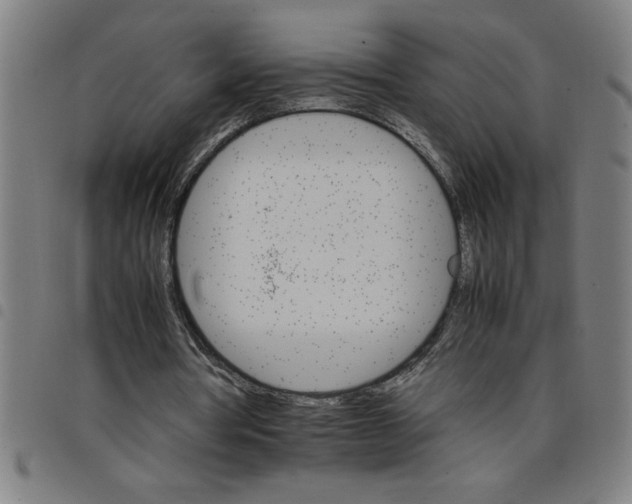 X0000098040386200804251044