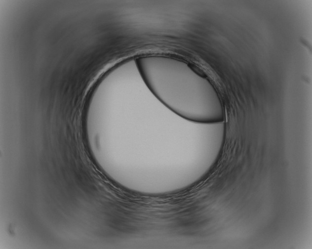 X0000098040387200804251044