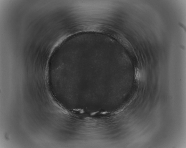 X0000098040388200804251044