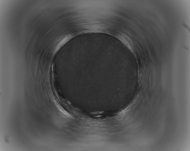 X0000098040389200804251044