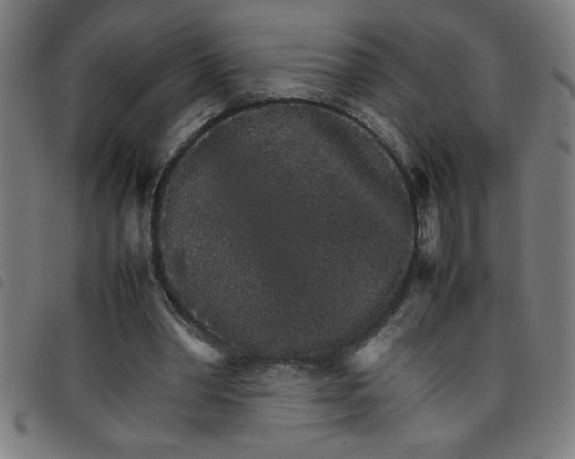 X0000098040390200804251044