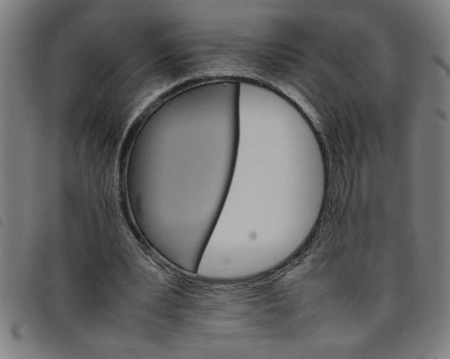 X0000098040391200804251044