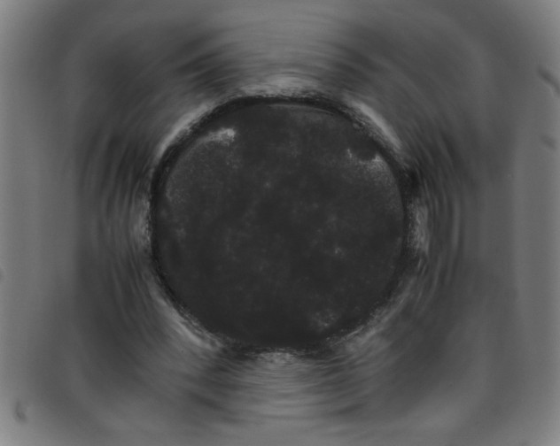 X0000098040392200804251044