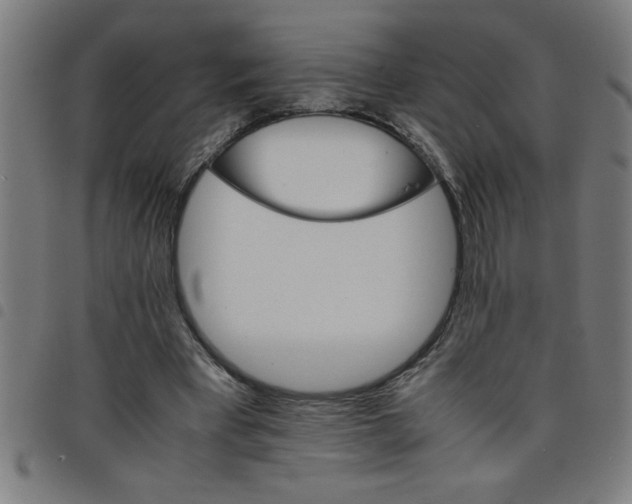 X0000098040393200804251044