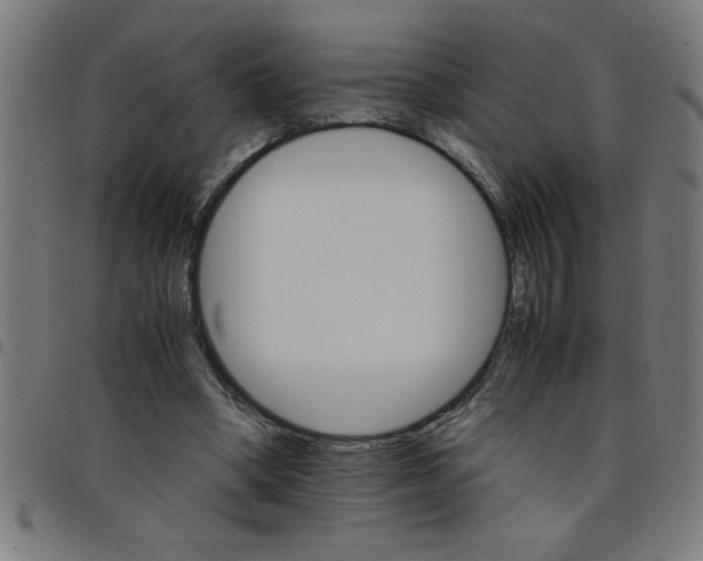 X0000098040394200804251044