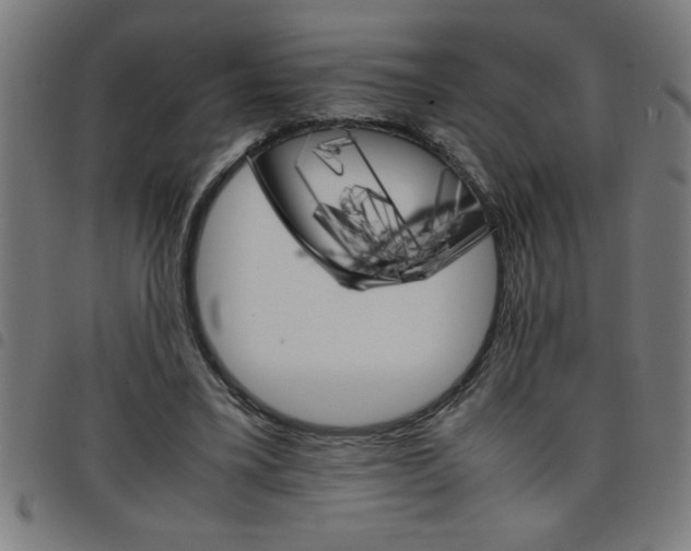 X0000098040395200804251044