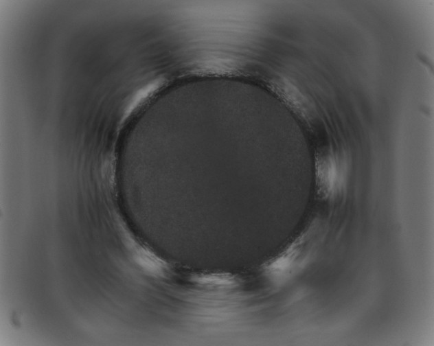 X0000098040396200804251044