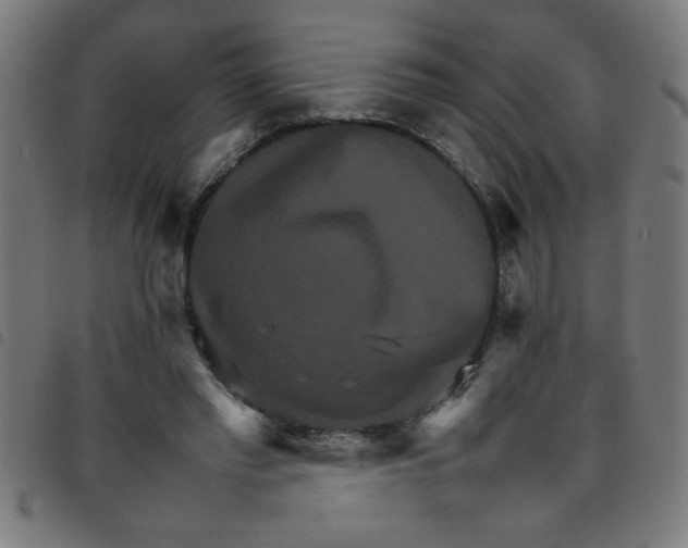 X0000098040397200804251044