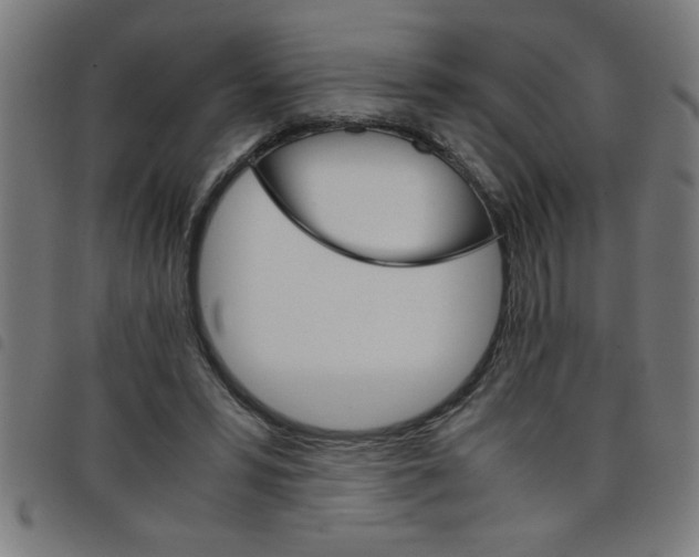 X0000098040399200804251044