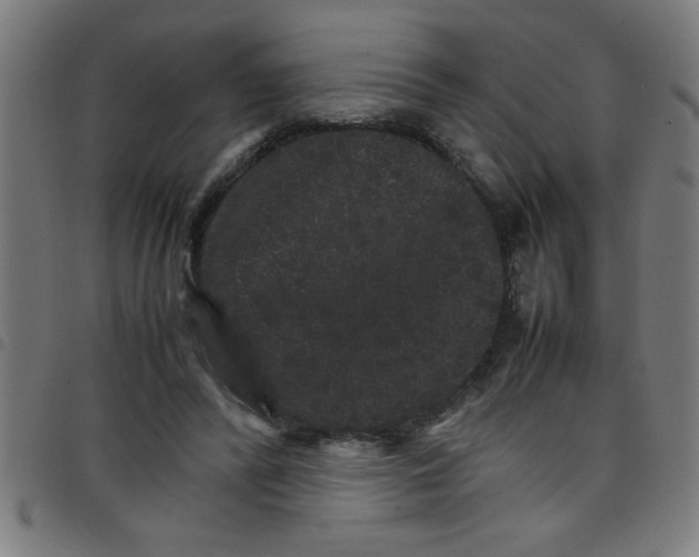 X0000098040400200804251044