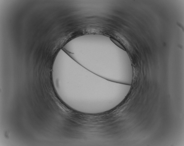 X0000098040401200804251044