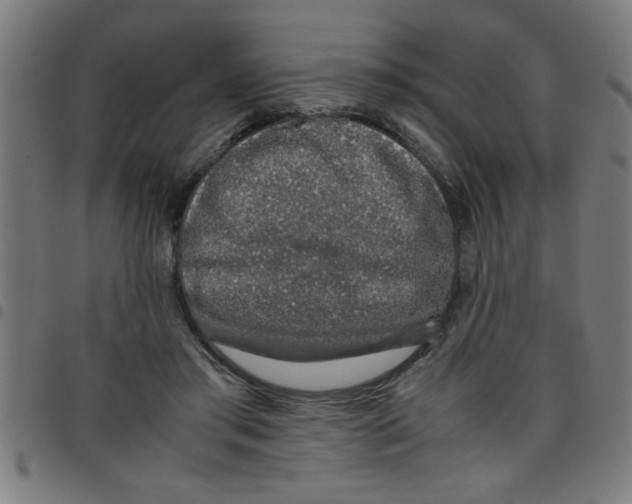 X0000098040405200804251044