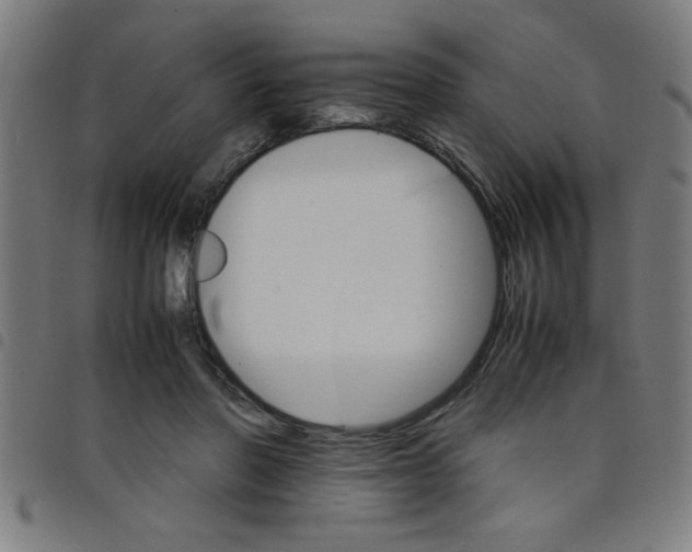 X0000098040406200804251044