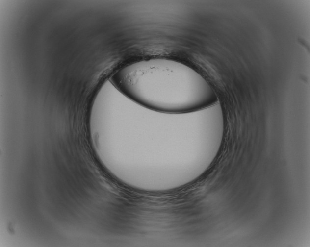 X0000098040407200804251044