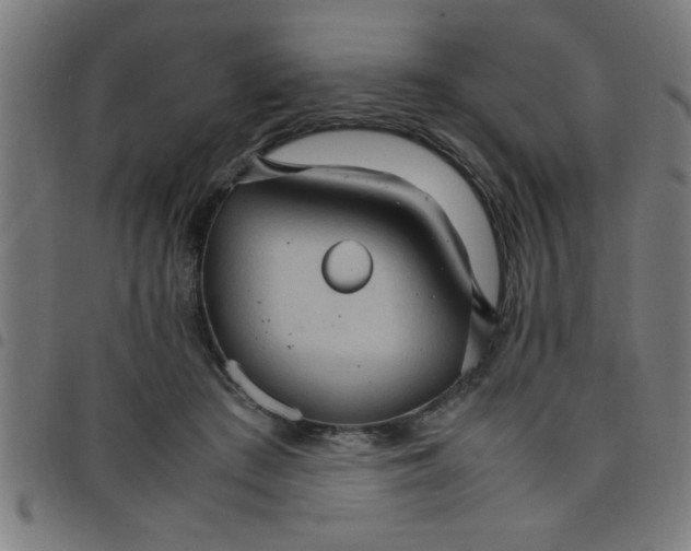 X0000098040409200804251044