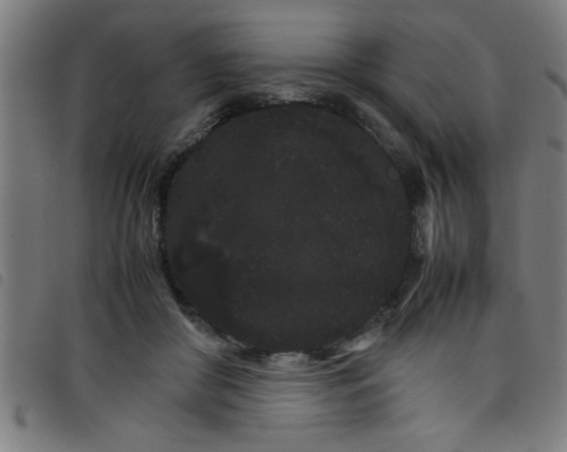 X0000098040410200804251044