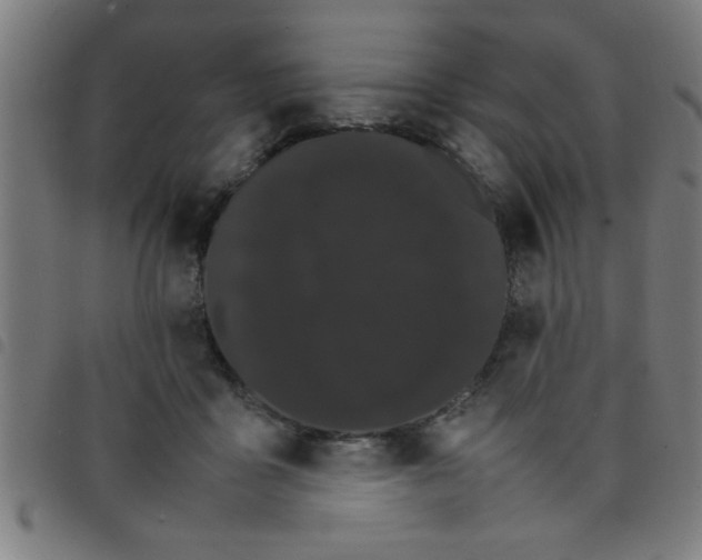 X0000098040411200804251044