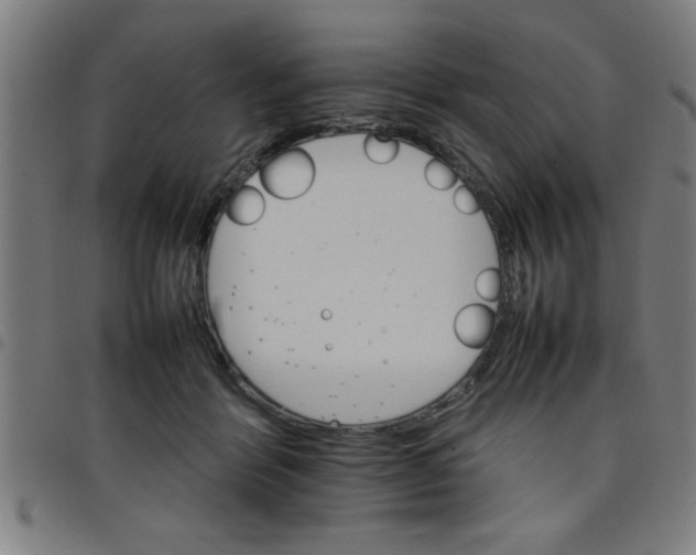 X0000098040412200804251044