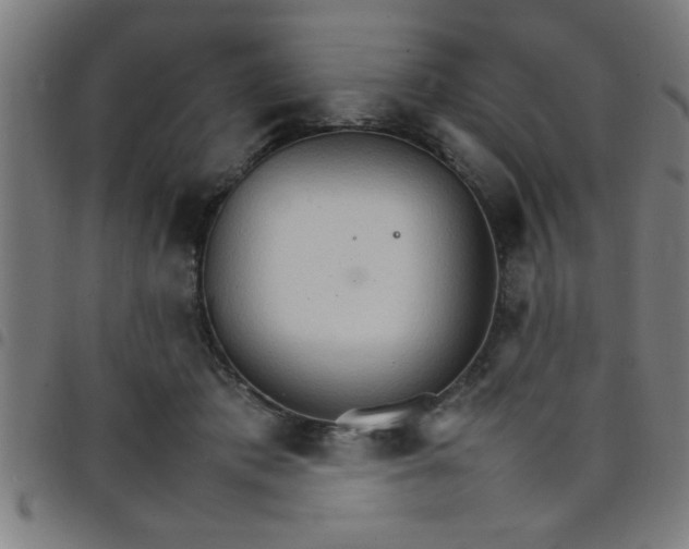 X0000098040413200804251044