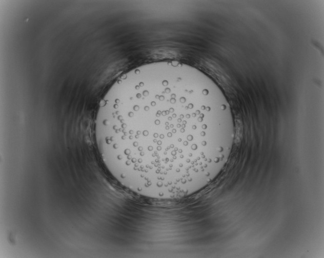 X0000098040414200804251044