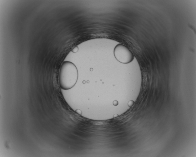 X0000098040416200804251044