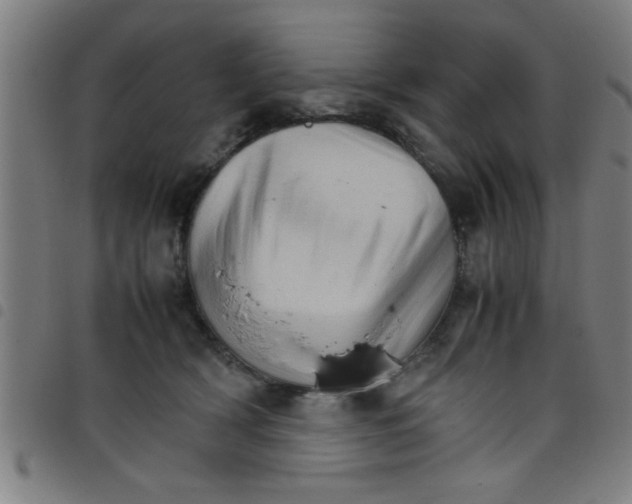 X0000098040418200804251044