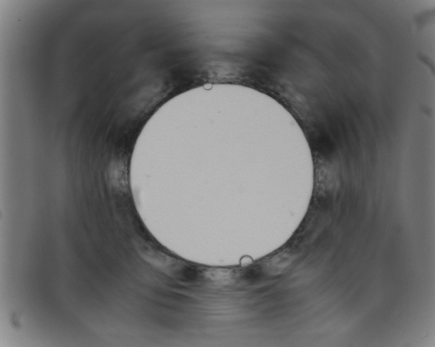 X0000098040419200804251044