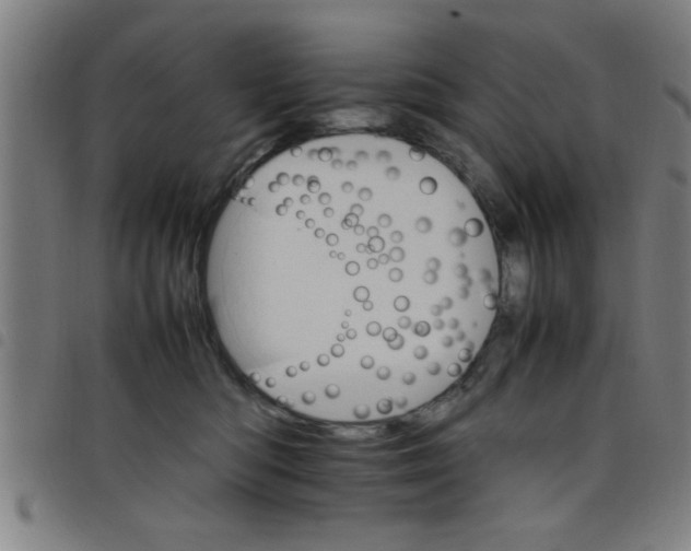 X0000098040422200804251044