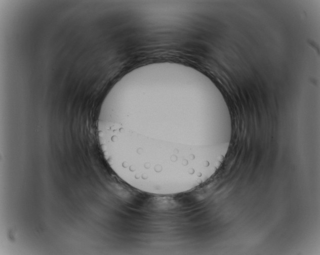 X0000098040424200804251044