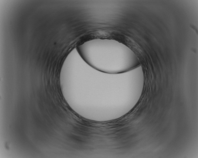 X0000098040425200804251044