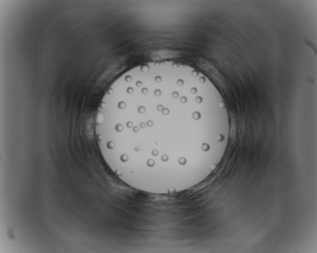 X0000098040426200804251044