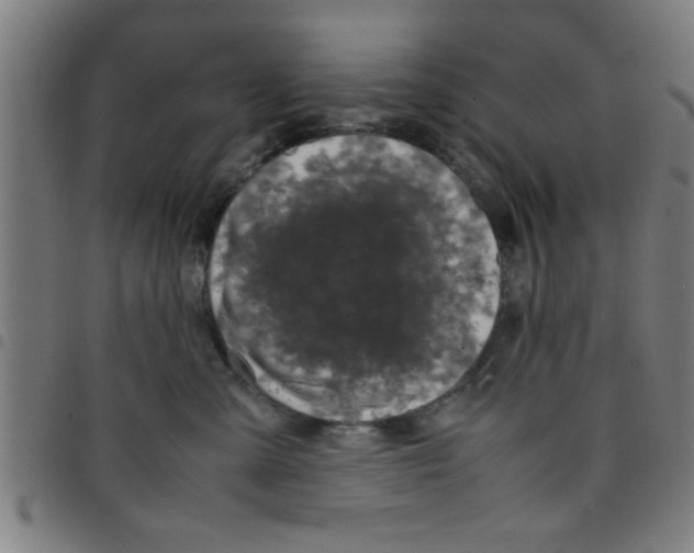 X0000098040427200804251044