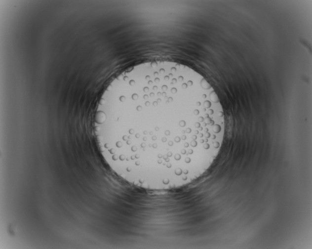 X0000098040428200804251044