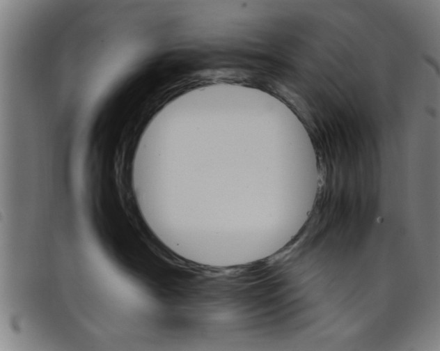 X0000098040430200804251044