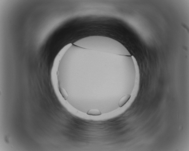 X0000098040431200804251044