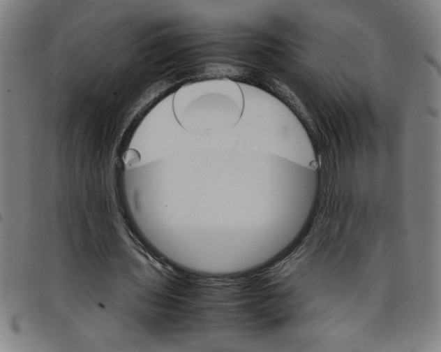 X0000098040435200804251043