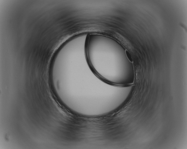 X0000098040436200804251043