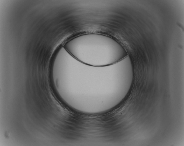 X0000098040440200804251043