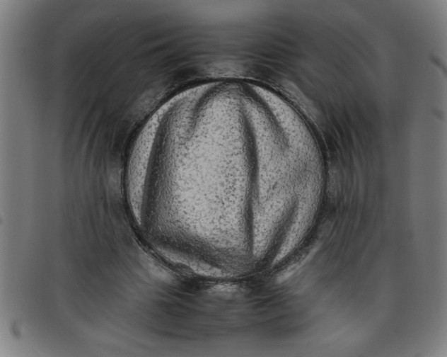 X0000098040441200804251043