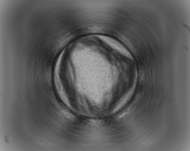 X0000098040442200804251043