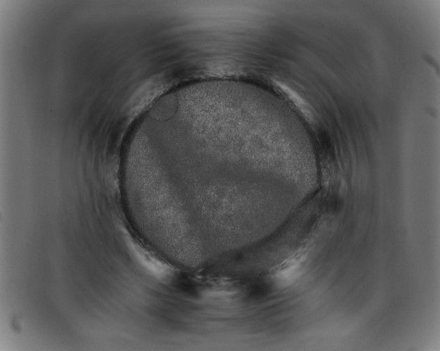 X0000098040443200804251043