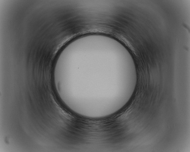 X0000098040444200804251043