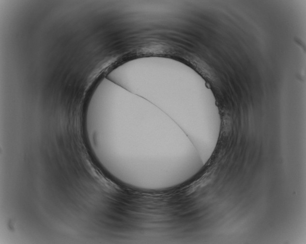 X0000098040446200804251043