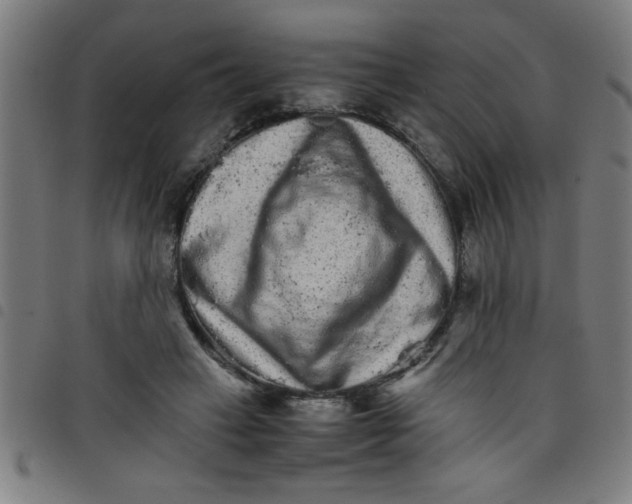 X0000098040449200804251043