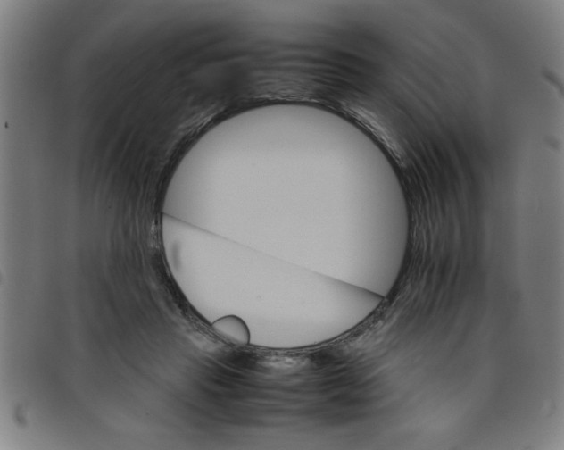 X0000098040453200804251043