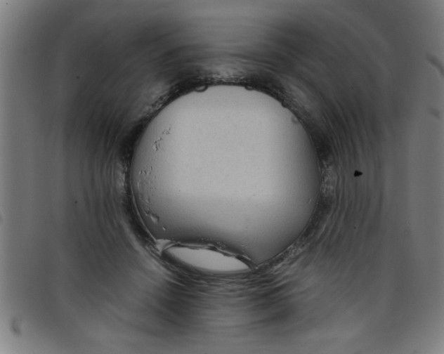 X0000098040456200804251043