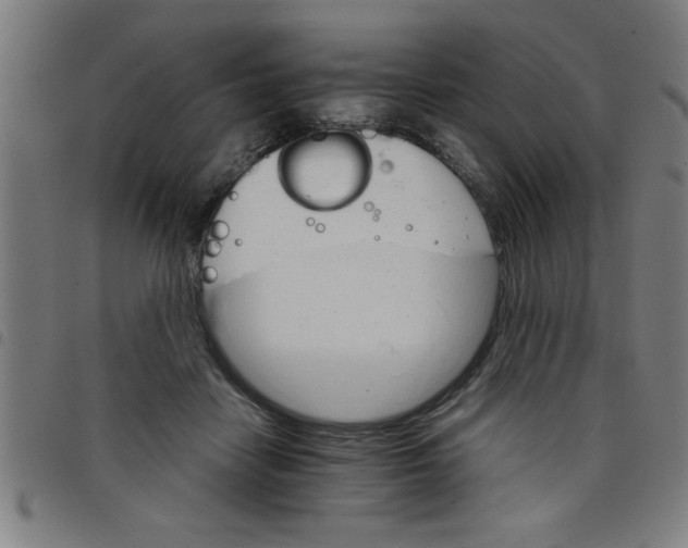 X0000098040458200804251043