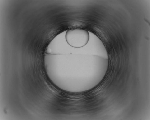 X0000098040459200804251043