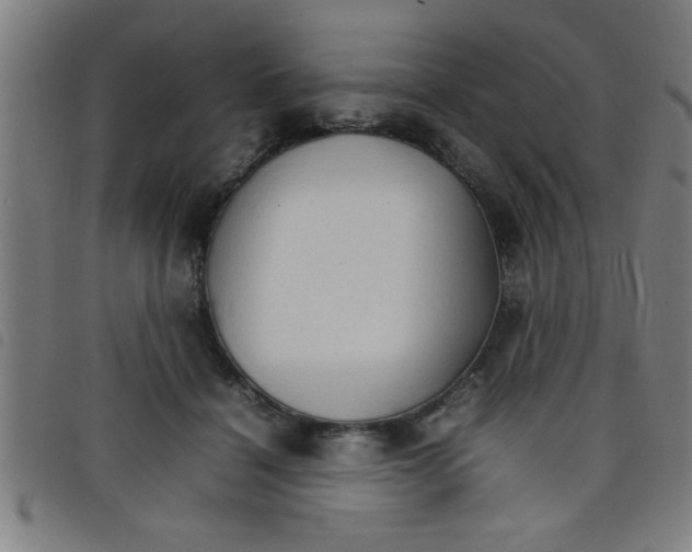 X0000098040460200804251044