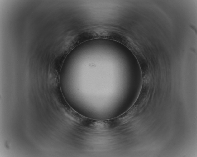 X0000098040464200804251044